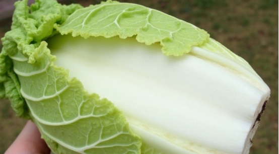 便秘吃白菜好