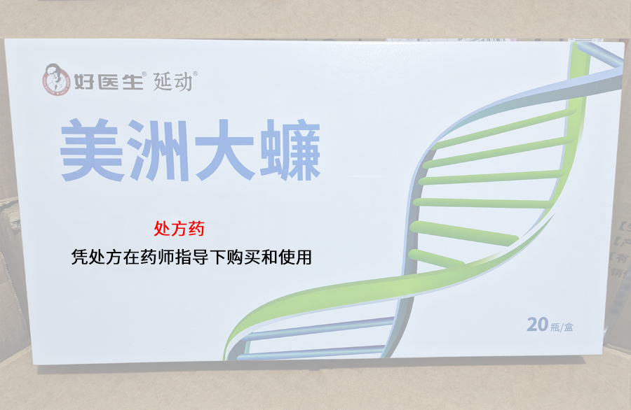 美洲大蠊（延动）