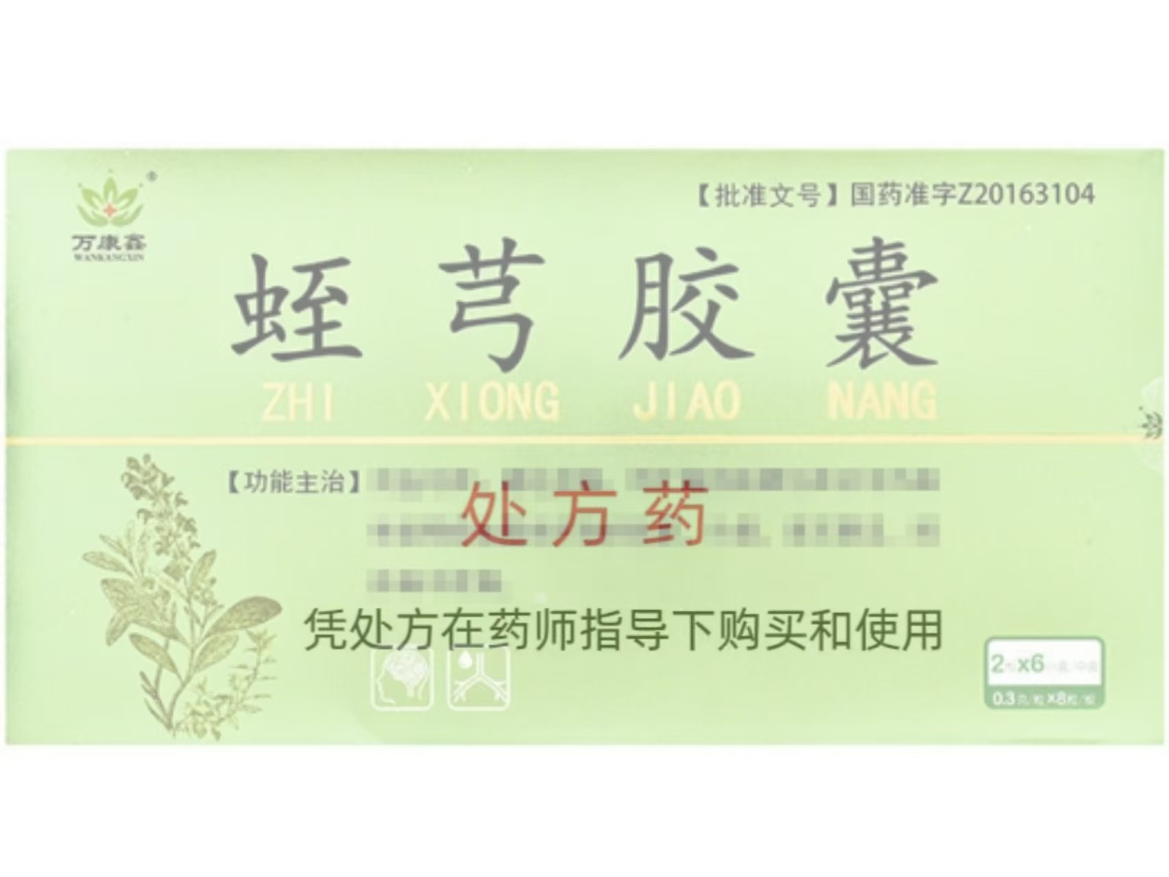 蛭芎胶囊（绛福）