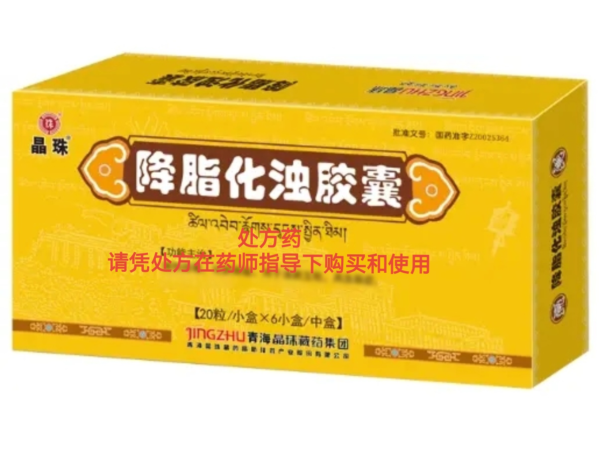 降脂化浊胶囊 (晶珠)